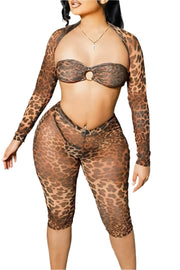 Leopard Print See-Through Strapless Long Sleeve Two Piece Set